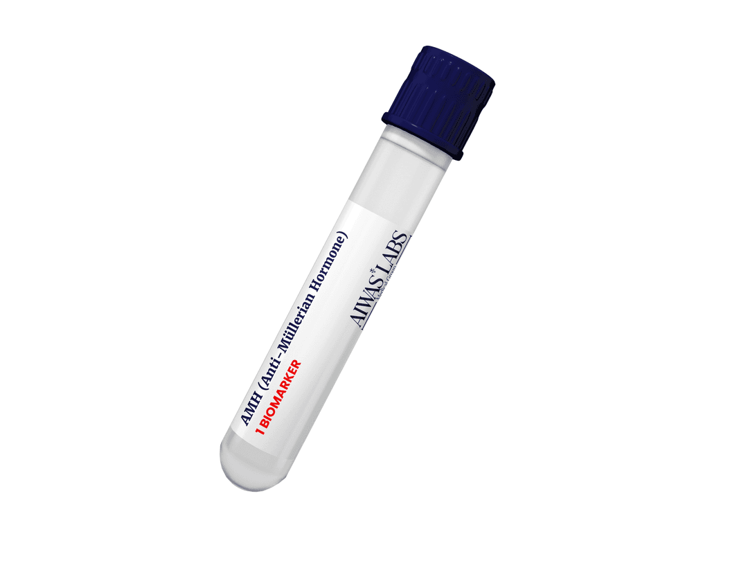 AMH (Anti-Müllerian Hormone)